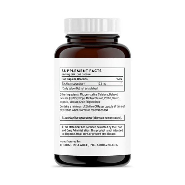 Thorne Bacillus Coagulans