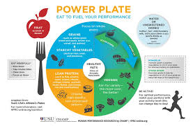 An image of a balanced nutrition plate