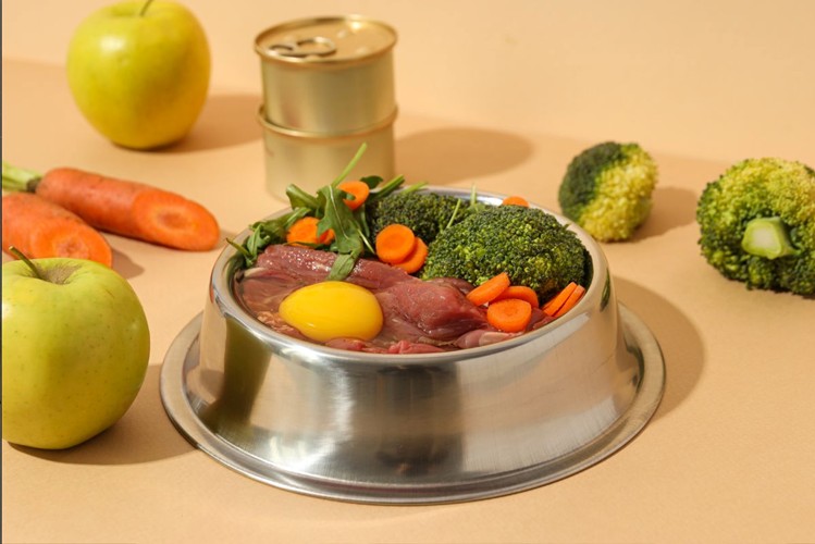 A dog dish filled and surrounded with healthy food.